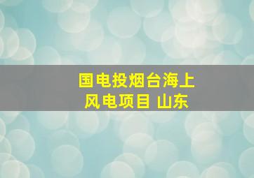 国电投烟台海上风电项目 山东